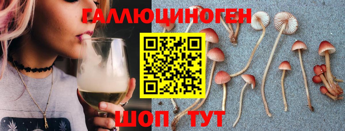 закладки  Псилоцибиновые грибы мухоморы  Вход с VPN  Чехов 